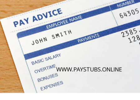 Basics about pay stub generators for beginners - Online Free Pay Stub